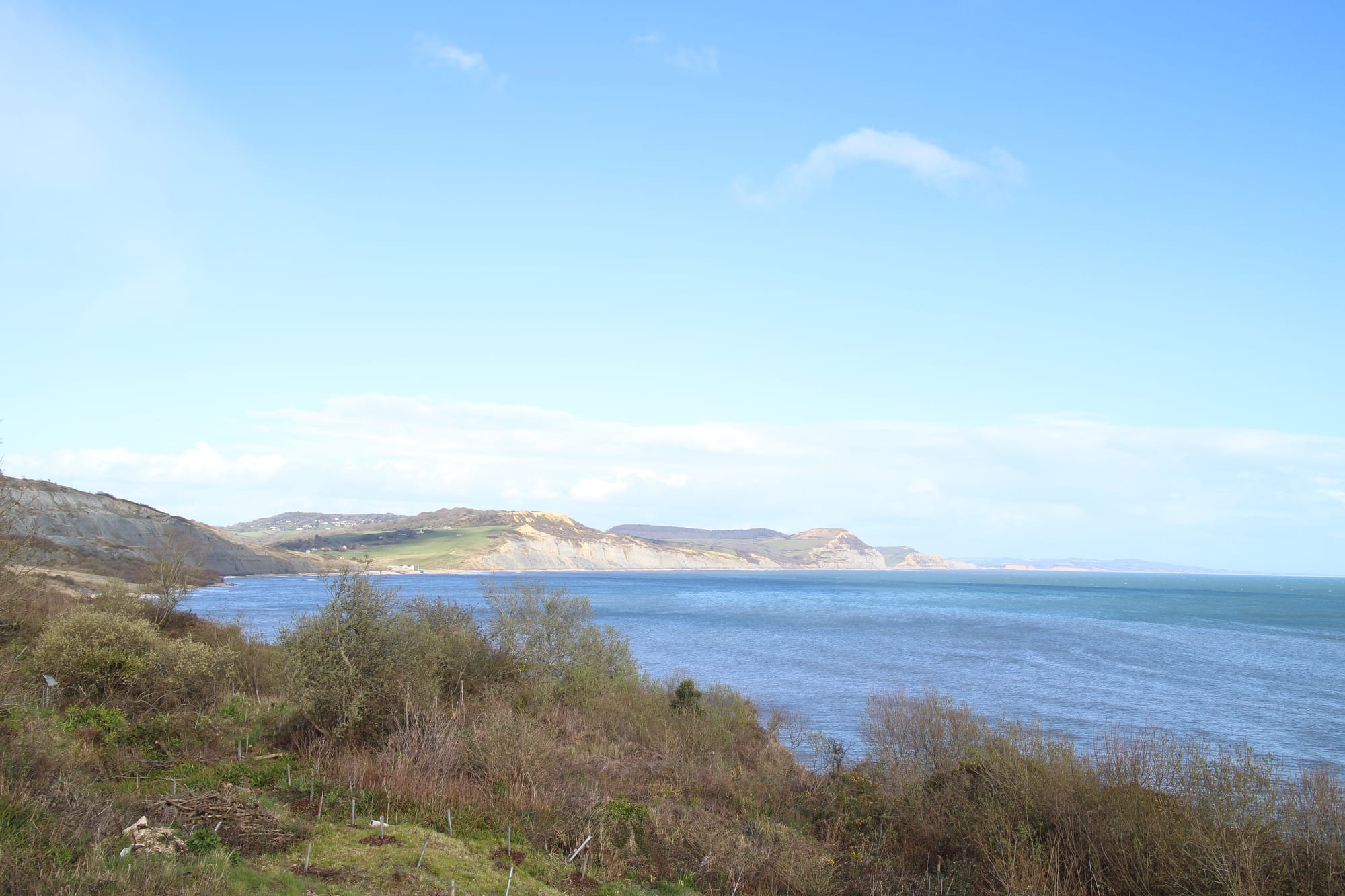 Jurassic Action in Lyme Regis