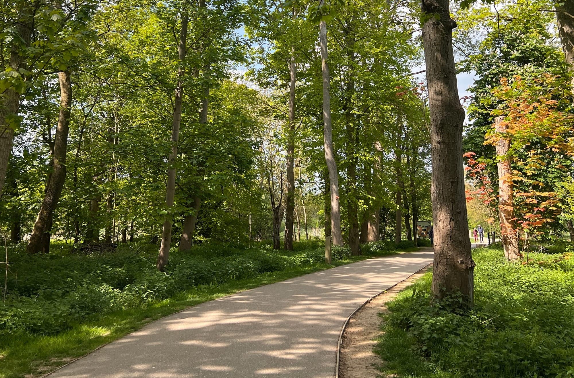 Wonderful walks at Wimpole Estate