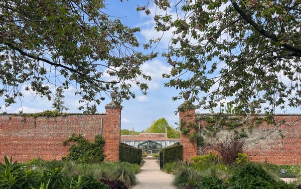 Wonderful walks at Wimpole Estate