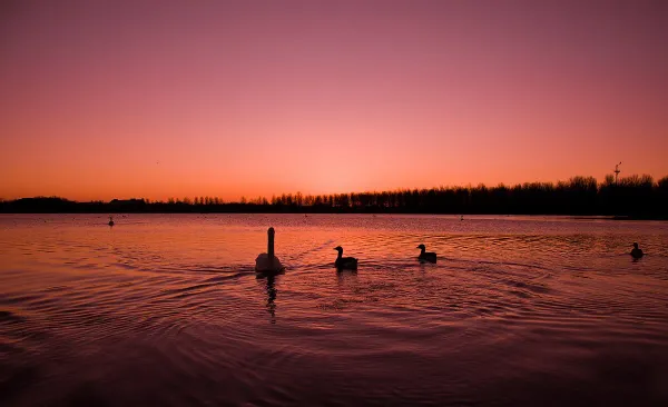 Community: Willen Lake, Milton Keynes